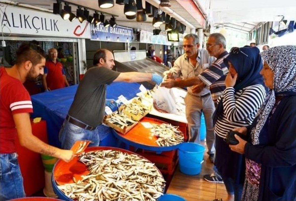Marmara&rsquo;da Palamut Bereketi