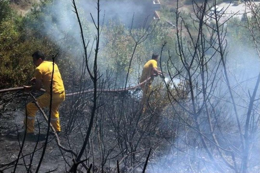 &Ccedil;&ouml;pleri Yakmak İsterken Ormanı Yaktılar