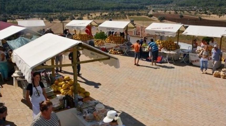 Urla Nohutalan Kavun Festivali Sona Erdi