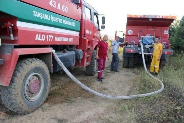 Yıldırım D&uuml;şmesi Sonucu Ormanda Yangın &Ccedil;ıktı 1