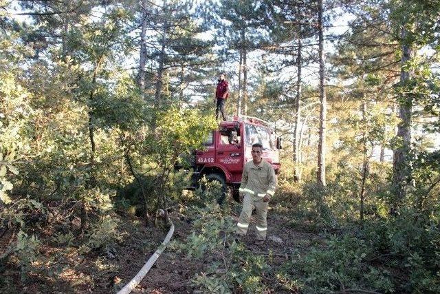 Yıldırım D&uuml;şmesi Sonucu Ormanda Yangın &Ccedil;ıktı 2