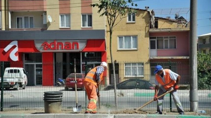 Orhangazi Ve B&uuml;y&uuml;kşehir Belediyeleri Yol Kenarlarına 400 Ağa&ccedil; Dikti