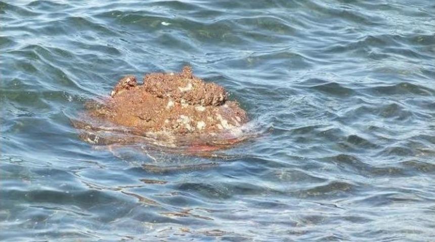 İzmir Kıyılarına Vuran Esrarengiz Mayın