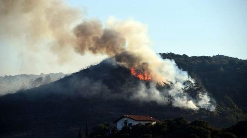 &Ccedil;eşme&rsquo;de Ormanlık Alanda Yangın