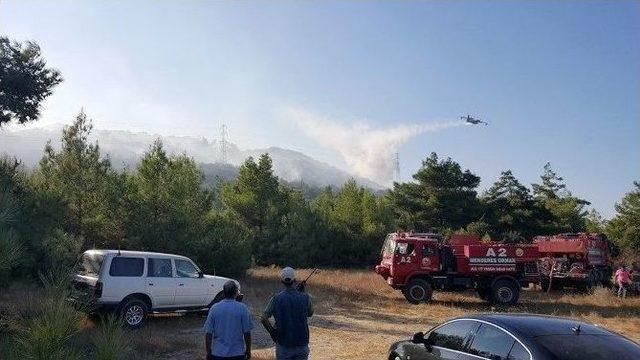 Çeşme’de Ormanlık Alanda Yangın