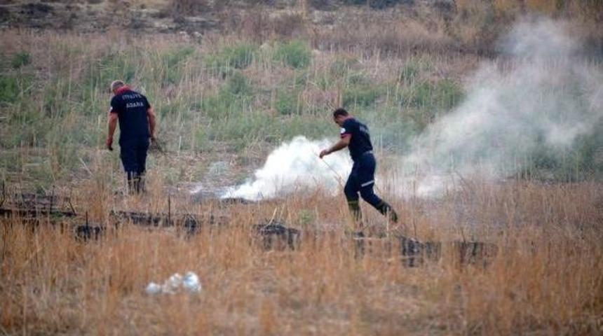 Anızlar Yine Yakıldı, Adana Duman Altında Kaldı