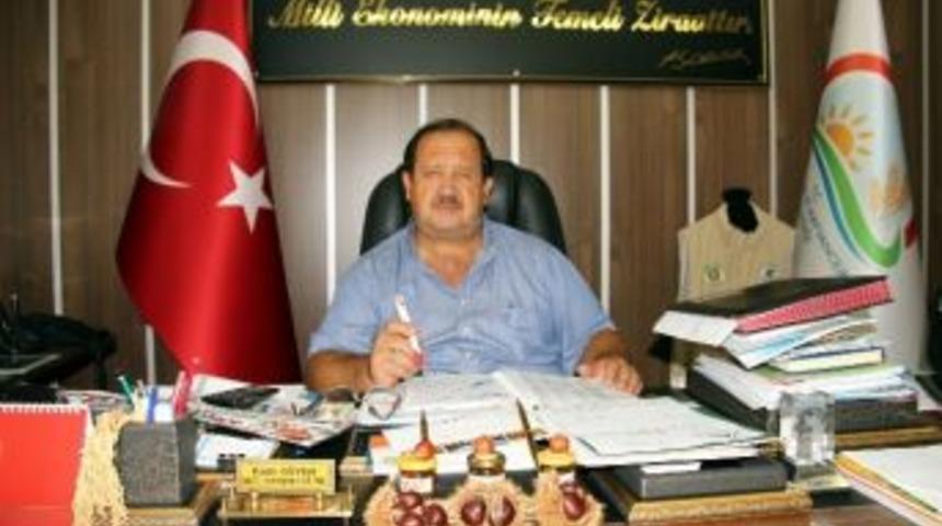 Fındığı Bekleyen Büyük Tehlike