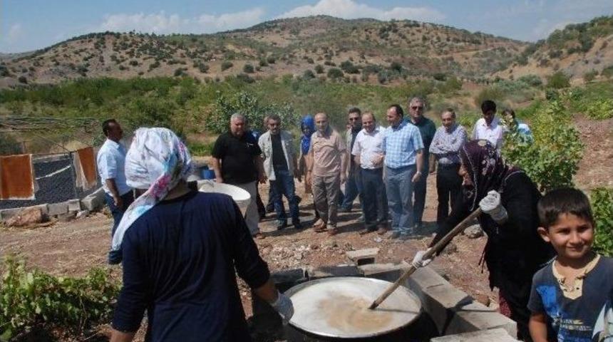 Besni&rsquo;de Organik &Uuml;z&uuml;m Hasadı Başladı