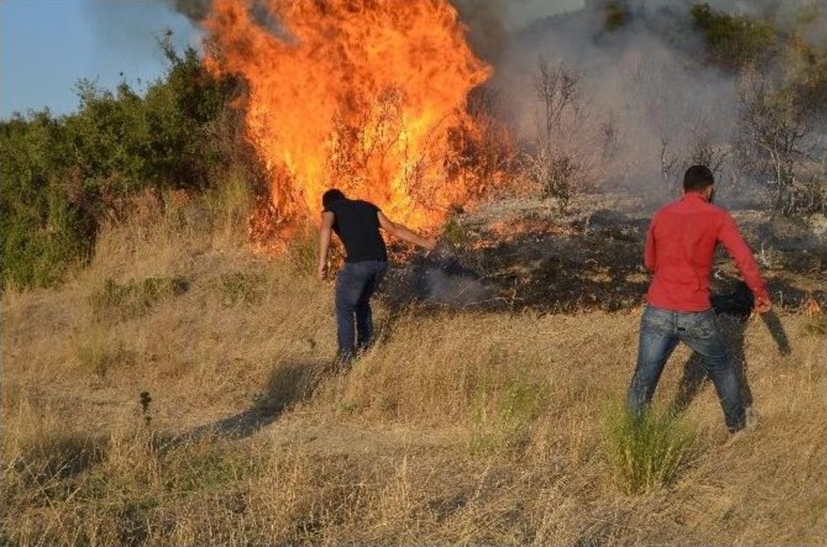 Aliağa&rsquo;da Makilik Alanda Yangın