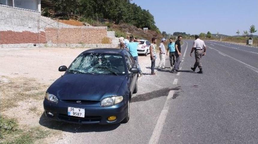 Otomobil Yayaya &Ccedil;arptı: 1 Yaralı