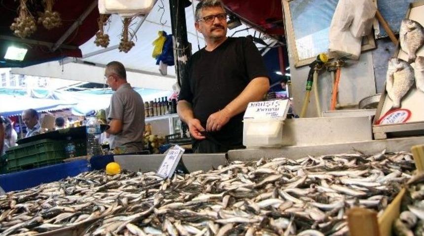 Pazar&rsquo;da Hamsi Bereketi