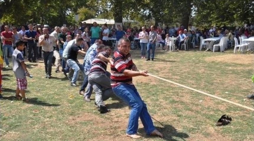 Doğtaş Ailesi Piknikte Buluştu