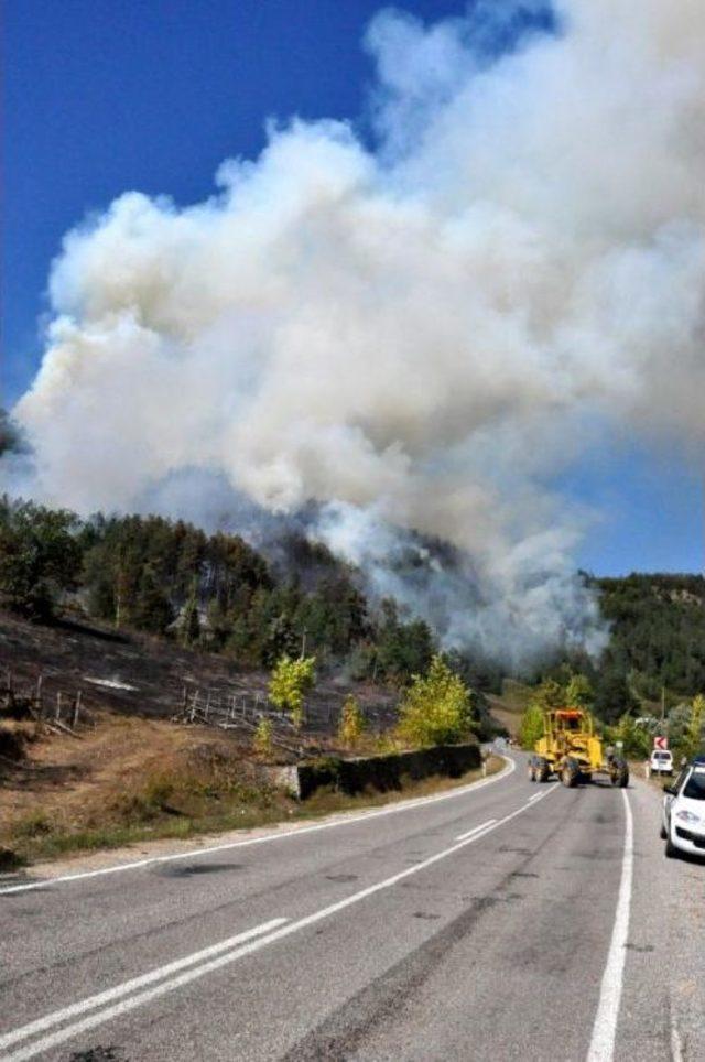 Bartın'da Orman Yangını