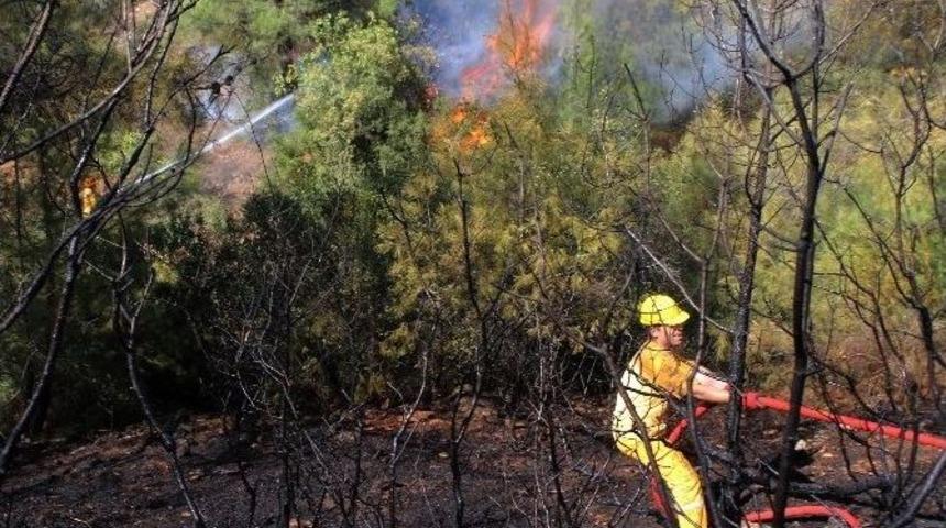 Muğla&rsquo;da Orman Yangın
