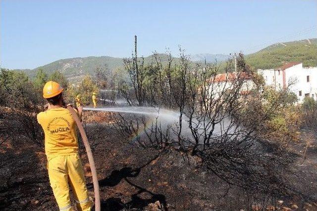 Muğla’da Orman Yangın