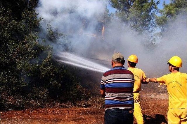 Muğla’da Orman Yangın