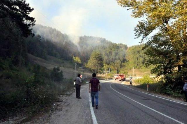 Bartın'da Orman Yangını (2)