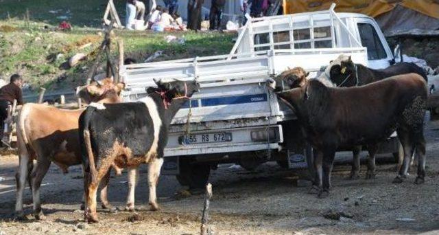 Prof.dr. Leblebicioğlu: Kurban Bayramı'nda Kkka Riskine Dikkat