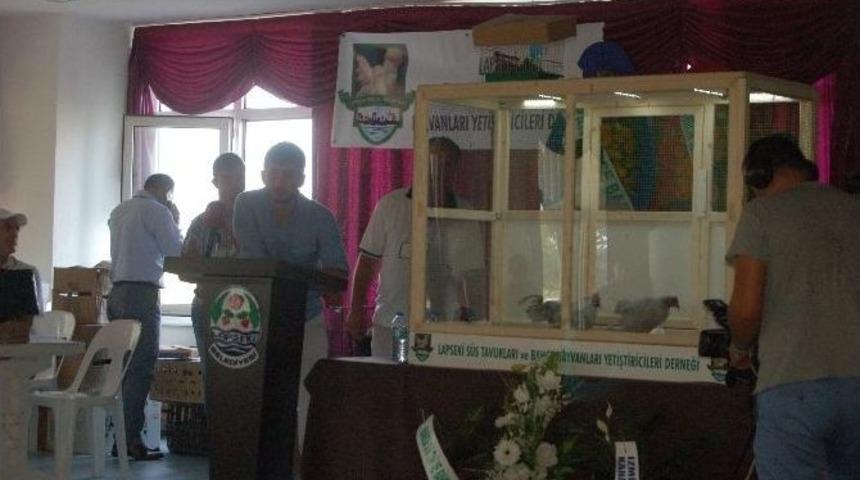 Lapseki İl&ccedil;esinde Tavuk Mezadı Kuruldu