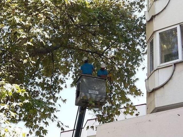 Ortahisar Belediyesi Okulları Yeni Eğitim Yılına Hazırlıyor 1