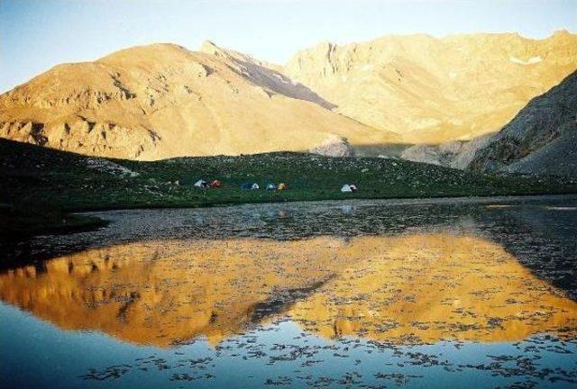 The Endemic Tongue-Died Frog Lives In Turkey’S Niğde