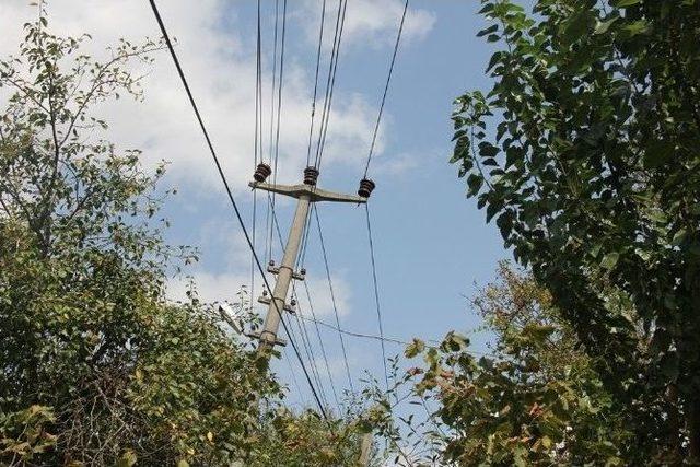 10 Yıldır Yan Duran Elektrik Direği Tehlikeye Davetiye Çıkartıyor