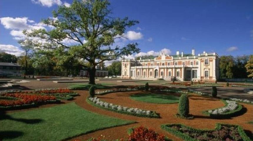 Turkish Airlines Hits Record High Passanger Rate In Tallinn