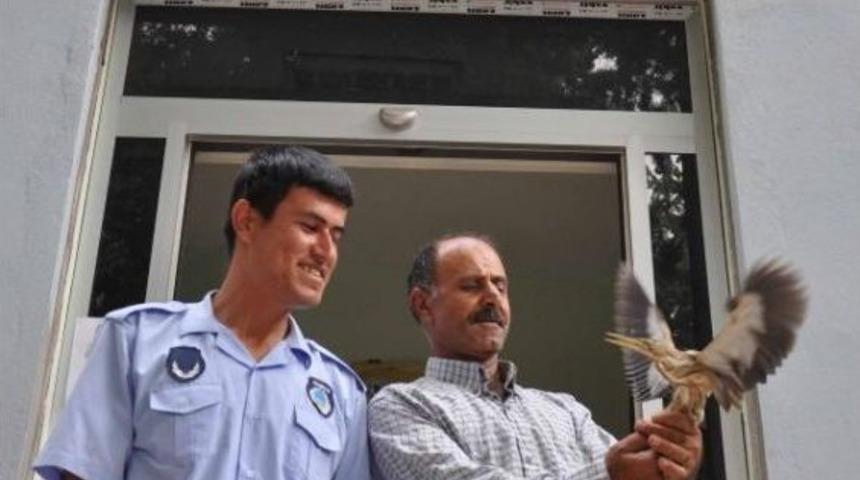 Parkta Bulunan Yaralı Balık&ccedil;ıl Tedaviye Alındı