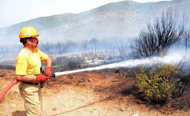 Bodrum'da Ağaçlandırma Sahasındaki Yangın Söndürüldü