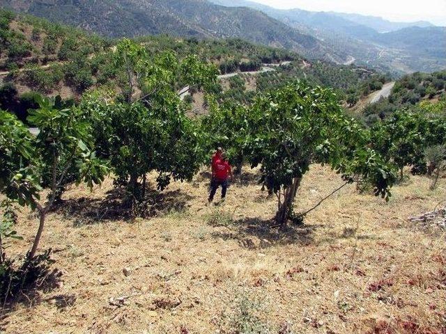 Aydın’da Yaşlı Kadından 4 Gündür Haber Alınamıyor