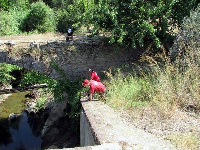 Aydın’da Yaşlı Kadından 4 Gündür Haber Alınamıyor