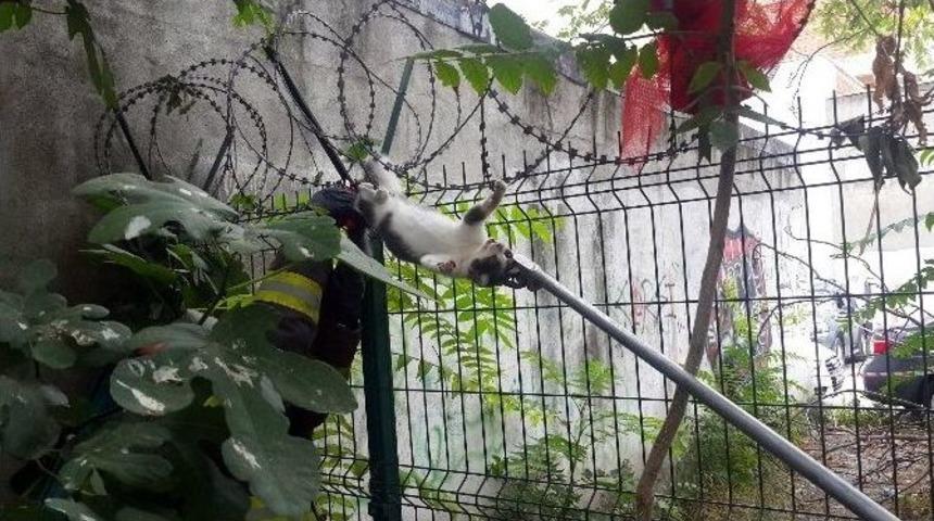 Tellere Sıkışan Kediyi İtfaiye Ekibi Kurtardı