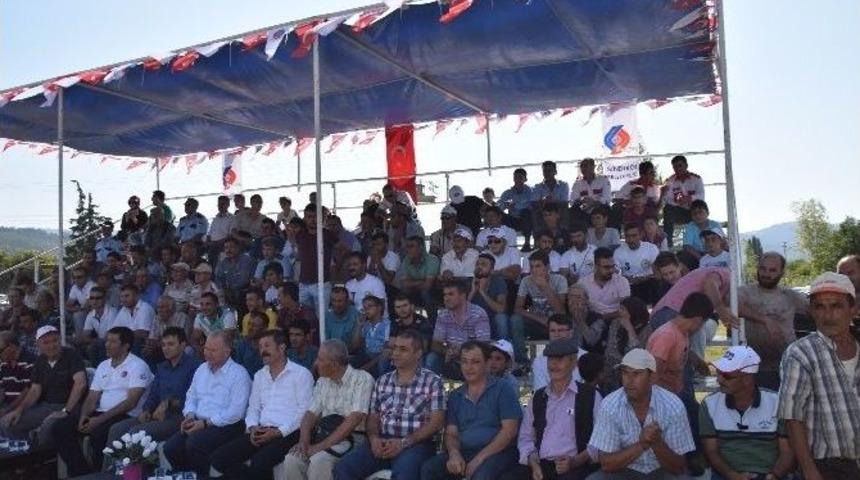 Cirit M&uuml;sabakaları Tamamlandı