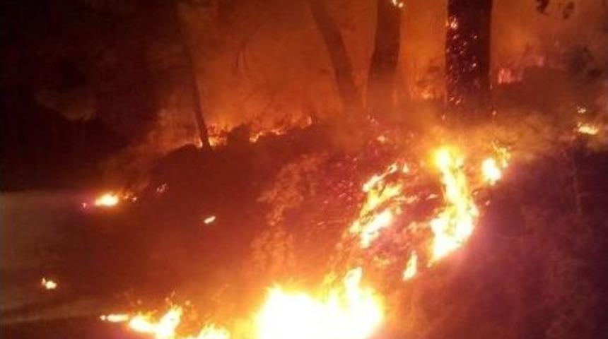 Edremit&rsquo;te Orman Yangınları