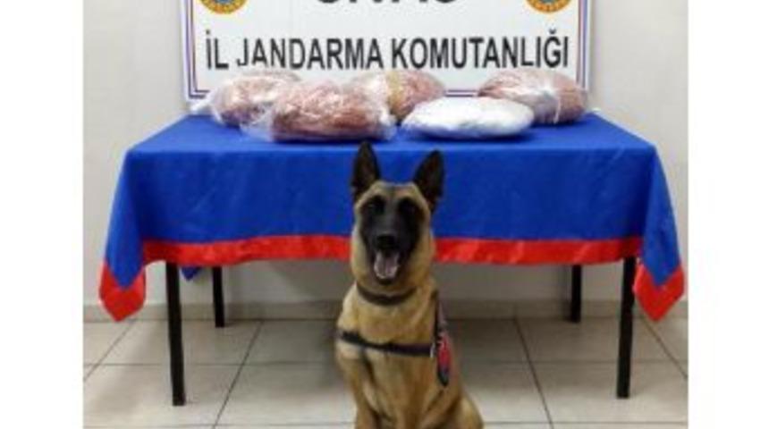 Narkotik K&ouml;peği 'ge&ccedil;im', Sal&ccedil;aya Sarılı 19 Kilo Esrar Buldu