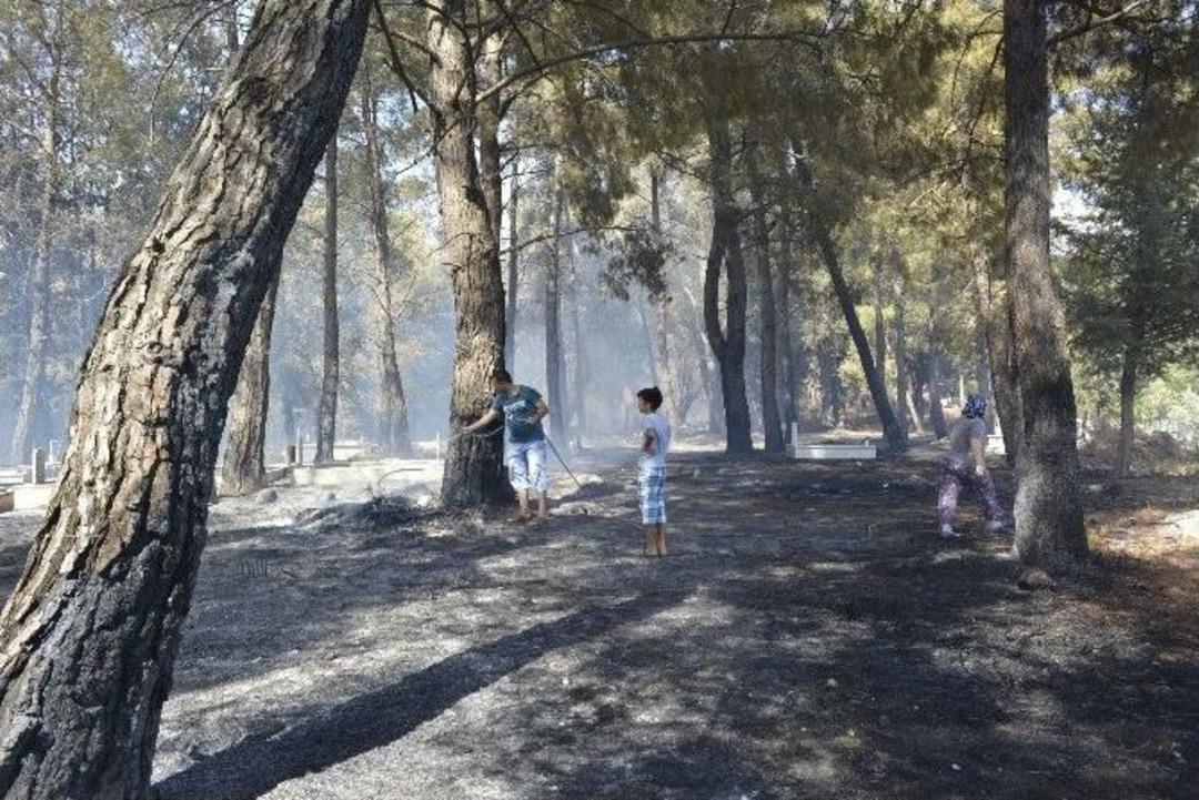 Seydikemer&rsquo;de Mezarlık Alanı Yandı