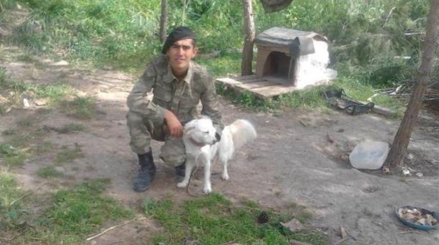 Turgutlu'ya Da Şehit Ateşi D&uuml;şt&uuml;