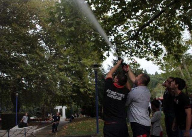 3 Gündür Ağaçtan Inmeyen Kediye Tazyikli Suyla Müdahele