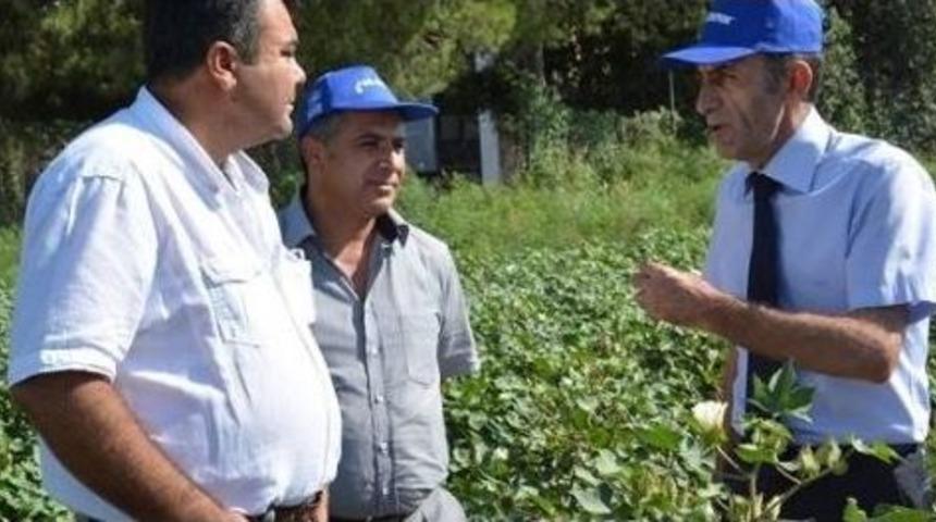 S&ouml;ke&rsquo;de &rsquo;pamukta Damla Sulama Ve İyi Tarım&rsquo; Eğitimi Verildi