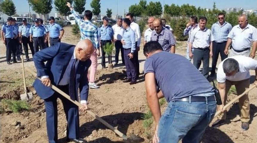 Yenimahalle&rsquo;den Zabıtalar İ&ccedil;in Hatıra Ormanı