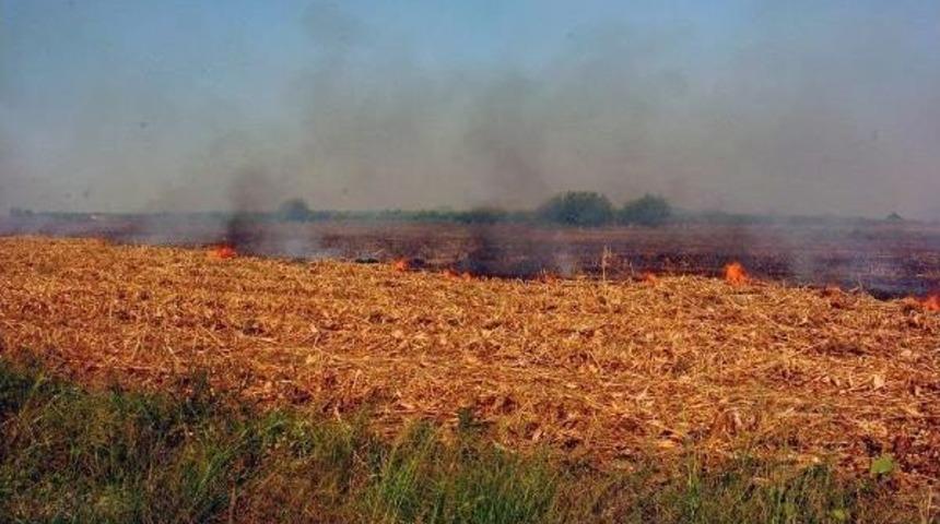 Prof. Dr. İbrahim Ortaş: Yakılan Anız K&uuml;resel Isınmayı Da Etkiliyor
