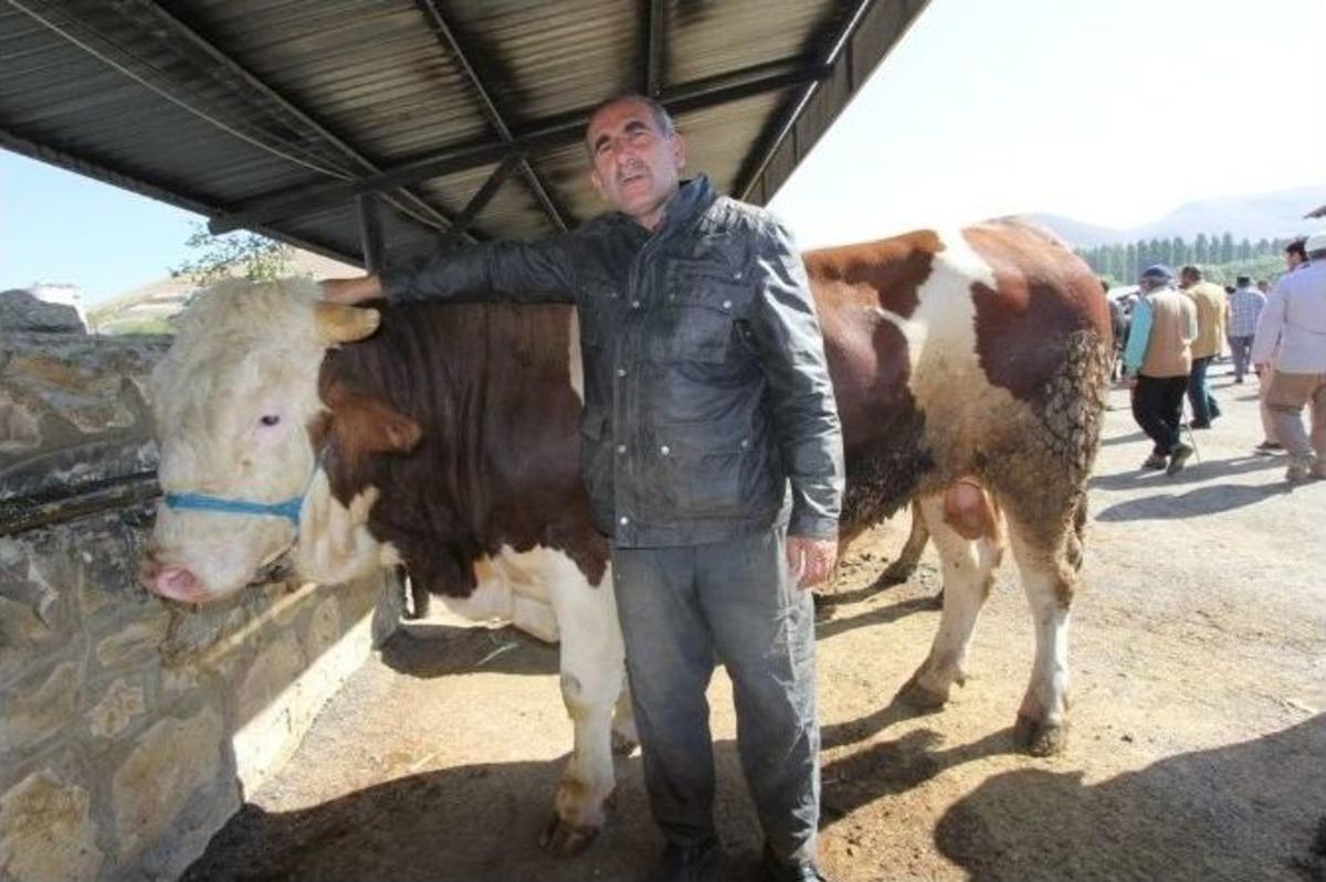 Bayburt&rsquo;ta &ldquo;kurban Bayramı&rdquo; Heyecanı Başladı