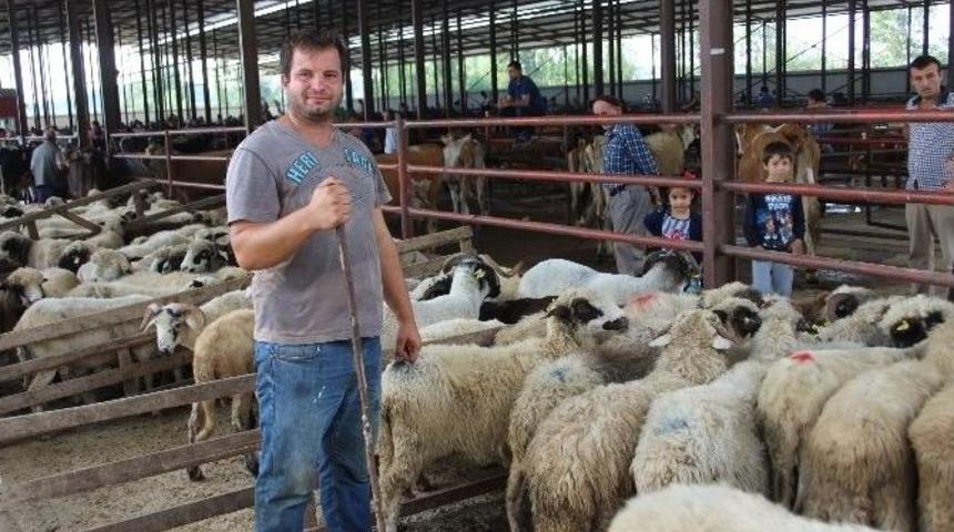 Bayram Hareketliliği Artıyor