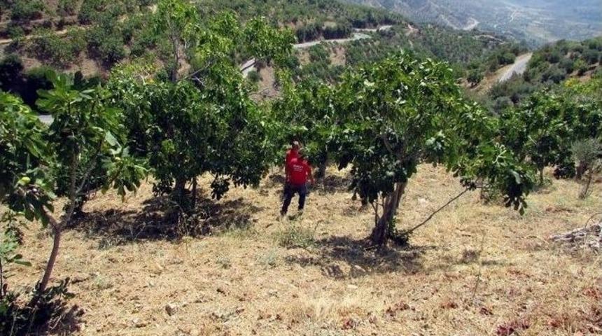 Aydın&rsquo;da 5 G&uuml;nd&uuml;r Aranan Yaşlı Kadın &Ouml;l&uuml; Olarak Bulundu