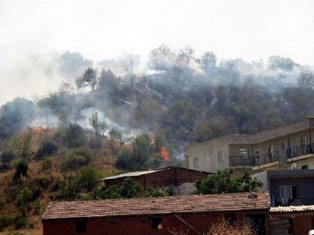 Manisa'da Otluk Yangını Korkuttu