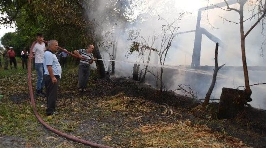 Kargı&rsquo;da Yangın
