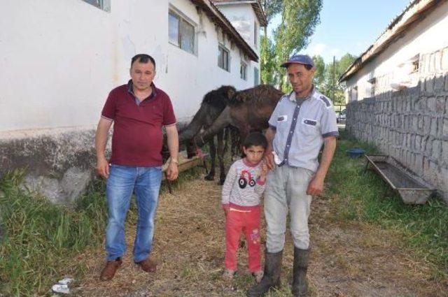 Sorgunlu Besici Develerini Kurbanlık Olarak Sattı