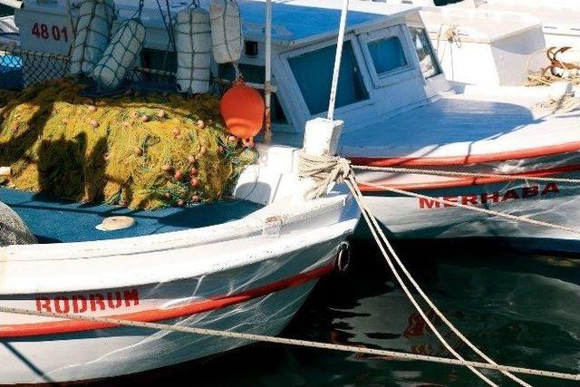 Tav Havalimanları&rsquo;ndan &ldquo;bodrum&rdquo; Kitabı 1