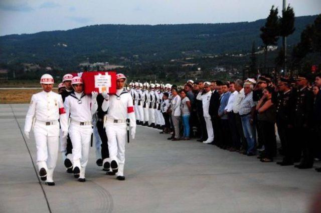 Şehit Oğlunun Tabutuna Sarılıp Helallik Istedi 3