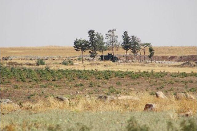 Işid’e Katılmak Üzere Suriye’ye Gitmeye Çalışan 12 Kişi Yakalandı